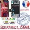 LCD inCELL iPhone A2223 Écran 3D 6,1 Touch Réparation Retina Super PREMIUM Apple Cristaux HD inch SmartPhone Liquides iTruColor