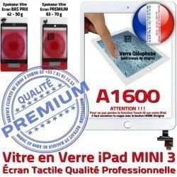 Tactile Caméra Blanc iPad Fixation Vitre Nappe Verre Home Bouton Monté Oléophobe A1600 Réparation Filtre Mini3 Adhésif Ecran Tablette